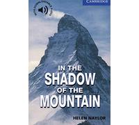 In the Shadow of the Mountain Level 5