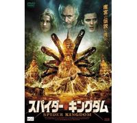 In the Spider's Web [DVD de Audio]