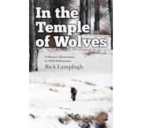 In the Temple of Wolves: A Winter's Immersion in Wild Yellowstone