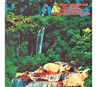 Tatsuhiko Asano - In The Wake Of Doshin, The Giant [Vinilo]