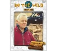 IN THE WILD ~野生への旅~ライオン [DVD]