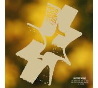 In The Wind [Vinilo]