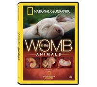 In the Womb: Animals [USA] [DVD]