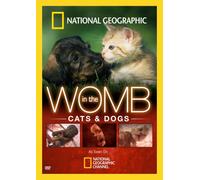 In the Womb: Cats & Dogs [USA] [DVD]