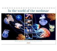 In the world of the medusae (Desk Calendar 2026 DIN A5 landscape), CALVENDO 12 Month DeskCalendar: Mysterious and interesting creatures in all the seas of the world