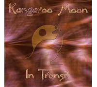 In Transit by Kangaroo Moon