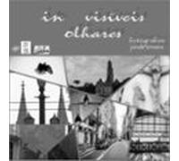 In Visíveis Olhares (ebook)