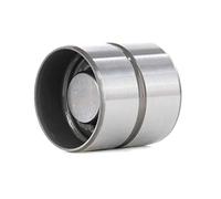 INA 420 0046 10 válvulas