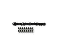 Kit de árbol de levas 428 0035 30 INA para FORD PEUGEOT CITROËN MAZDA TOYOTA