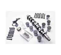 INA 428 0035 30 Kit de árbol de levas