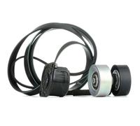 INA 529 0314 10 Juego de correas trapeciales poli V