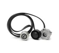 INA 529 0484 20 Juego de correas trapeciales poli V para AUDI A4 Avant (8K5, B8)