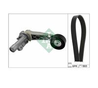 INA 529 0503 10 Juego De Correas De Poli V De Opel MINI Citroën Peugeot DS