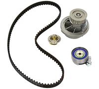 Bomba de agua + juego de correas de distribución INA 530 0004 31