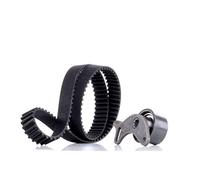 INA 530 0006 10 Juego de correas dentadas