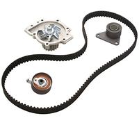 INA 530 0063 30 Bomba de agua + kit de correa de distribución Número de dientes: 19 27 mm Compatible con RENAULT LAGUNA I B56, 556 SAFRANE II B54 LAGUNA I Grandtour K56, VOLVO V70 II 285