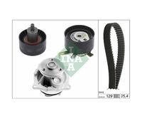 Ina 530 0066 30 Bomba de Agua + Dentadas para Ford Puma Cougar Focus Familiar