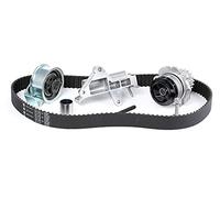 INA 530 0090 30 Bomba de agua + kit de correa de distribución Número de dientes: 19 35 mm con junta