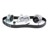 INA 530 0090 30 Bomba de agua + kit de correa de distribución para VW