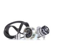 Kit de distribución + bomba de agua 530 0091 31 INA para VW SEAT AUDI FORD SKODA