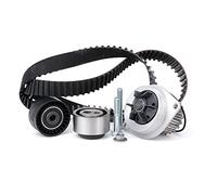 Kit de distribución + bomba de agua 530 0119 30 INA para PEUGEOT CITROËN NISSAN