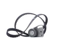 Kit de correa de distribución 530 0135 10 INA para FORD FORD OTOSAN