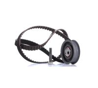 INA 530 0149 10 Kit de correa de distribución para VW Transporter T4 Bus