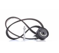 INA 530 0166 10 Kit de correa de distribución para VW GOLF III (1H1) POLO (6N2)