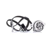 Bomba de agua + juego de correas de distribución INA 530 0166 31