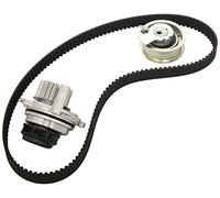Ina 530 0171 31 Refrigerantes del Motor