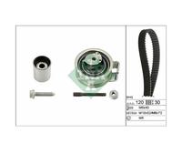 INA 530 0176 10 Kit de correa de distribución
