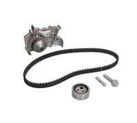 Bomba de agua + juego de correas de distribución INA 530 0191 30