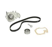 Bomba de agua + juego de correas de distribución INA 530 0191 31