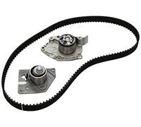 INA 530 0196 30 Bomba de agua + kit de correa de distribución 30,8 mm Compatible con VOLVO V40 Familiar 645, OPEL Vivaro A Combi X83 Vivaro A Furgón X83, RENAULT Trafic 2 Autobús JL