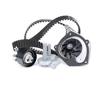Kit de distribución + bomba de agua 530 0197 31 INA para RENAULT NISSAN DACIA