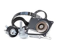 INA 530 0197 32 Bomba de agua + kit de correa de distribución 32 mm con junta Compatible con RENAULT MEGANE III Grandtour KZ0/1 GRAND SCÉNIC III JZ0/1 Clio III Hatchback BR0/1, CR0/1 TWINGO II CN0