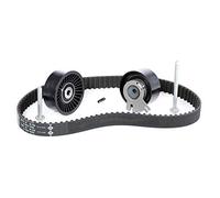 INA 530 0198 10 Juego de correas dentadas