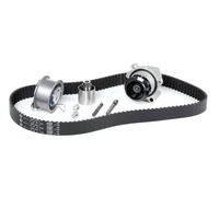 INA 530 0201 33 Bomba de agua + kit de correa de distribución para VW TOURAN