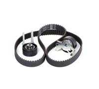 INA 530 0238 10 Kit de correa de distribución para FIAT Scudo Familiar (220)