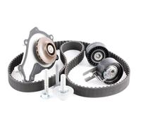 INA 530 0239 30 Bomba de agua + kit de correa de distribución para FORD FUSION