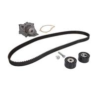 Kit de distribución + bomba de agua 530 0368 30 INA para PEUGEOT CITROËN