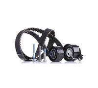 INA 530 0379 10 Juego de correas dentadas