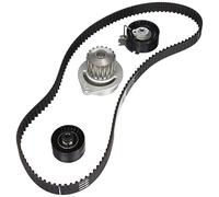 Kit de distribución + bomba de agua 530 0379 30 INA para CITROËN PEUGEOT