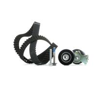 INA 530 0419 10 Kit de correa de distribución