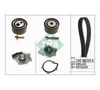 INA 530 0446 31 Bomba de agua + kit de correa de distribución 30 mm Compatible con PEUGEOT 406 8B 406 Break 8E/F 607 9D, 9U, CITROËN C5 II RC