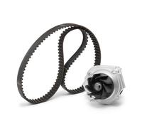 INA 530 0462 30 Bomba de agua + kit de correa de distribución para FORD KA (RU8)