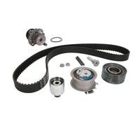 Ina 530 0463 30 Refrigerantes del Motor