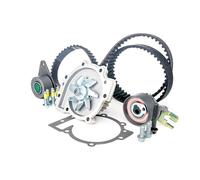 Kit de distribución + bomba de agua 530 0467 30 INA para VOLVO FORD