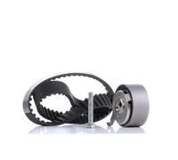 INA 530 0481 10 Kit de correa de distribución