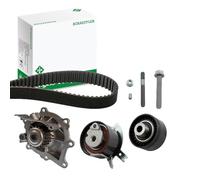 INA 530 0489 30 Bomba de agua + kit de correa de distribución Número de dientes: 19 30 mm Compatible con FORD MONDEO IV Turnier BA7 S-MAX WA6 Galaxy Mk2 MPV WA6 MONDEO IV BA7 MONDEO IV Sedán BA7, FIAT